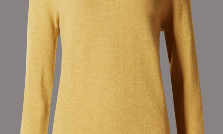 Autograph Pure Cashmere V-Neck Jumper