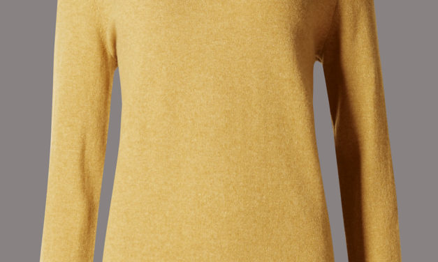 Autograph Pure Cashmere V-Neck Jumper