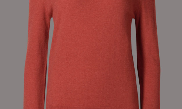 Autograph Pure Cashmere Crew Neck Jumper