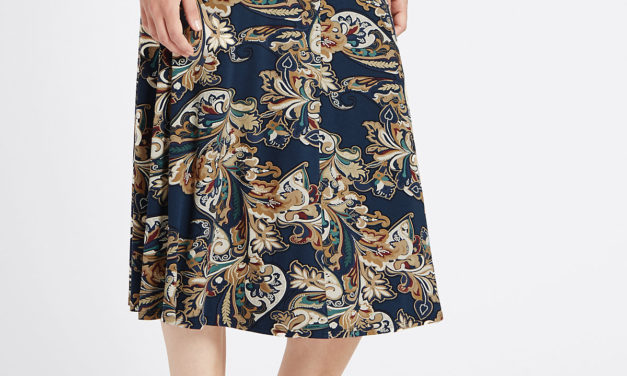 Classic Paisley Print A-Line Skirt